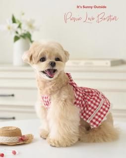 <img class='new_mark_img1' src='https://img.shop-pro.jp/img/new/icons14.gif' style='border:none;display:inline;margin:0px;padding:0px;width:auto;' />Picnic Love Bustier (RedCheck)
