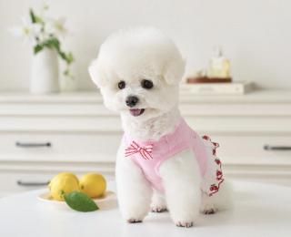 <img class='new_mark_img1' src='https://img.shop-pro.jp/img/new/icons14.gif' style='border:none;display:inline;margin:0px;padding:0px;width:auto;' />Love Rabbit TS