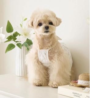<img class='new_mark_img1' src='https://img.shop-pro.jp/img/new/icons14.gif' style='border:none;display:inline;margin:0px;padding:0px;width:auto;' />Picnic Love Bustier (PunchingWhite)