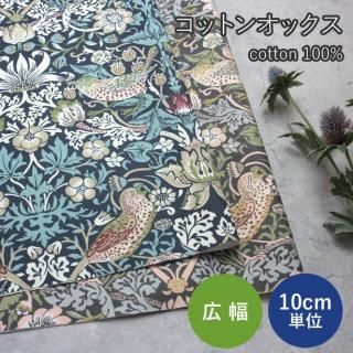 10cmñ̤ۥå 饷եСɡ138cm