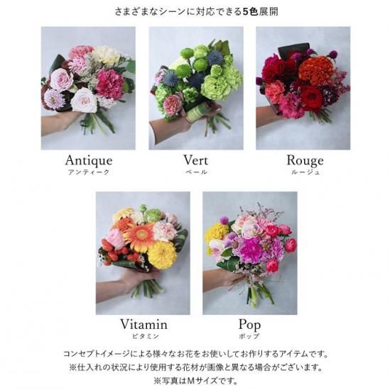 カラー比較