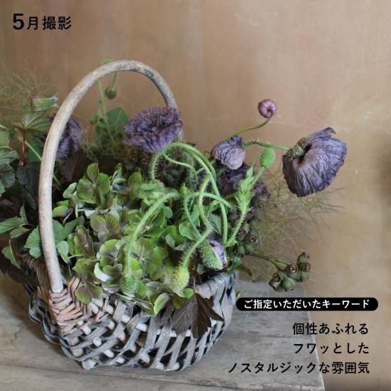 画像10