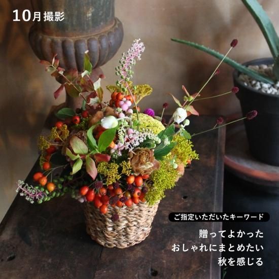 画像11