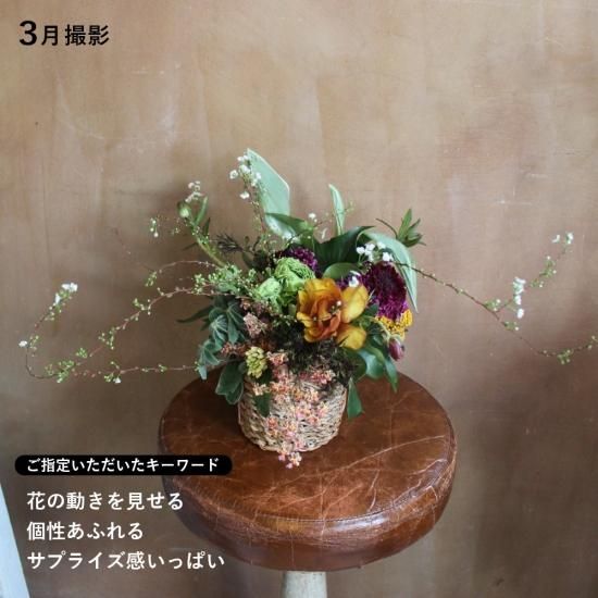画像4