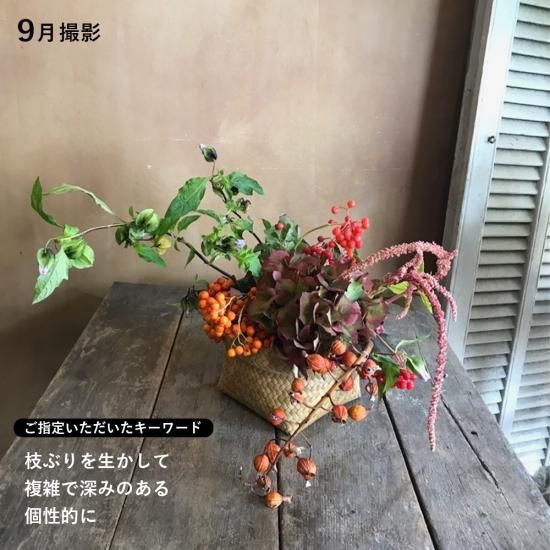 画像9