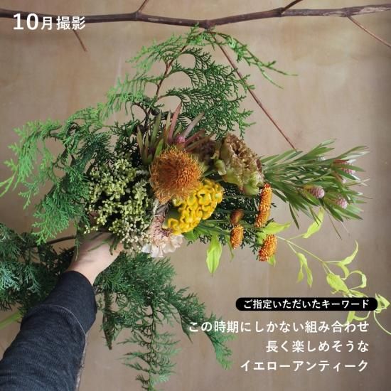 画像10