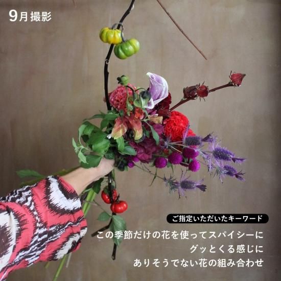 画像8