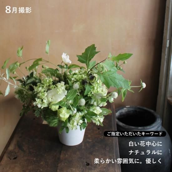 画像8