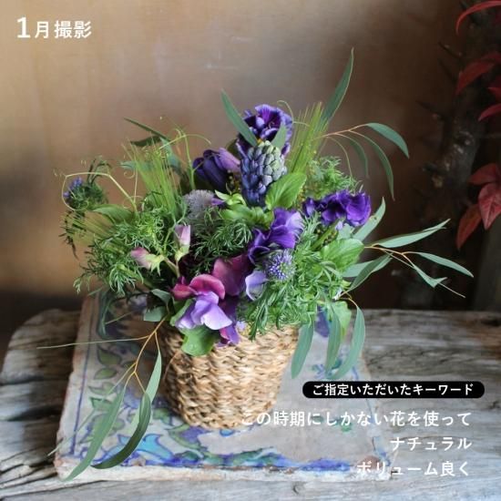 画像11