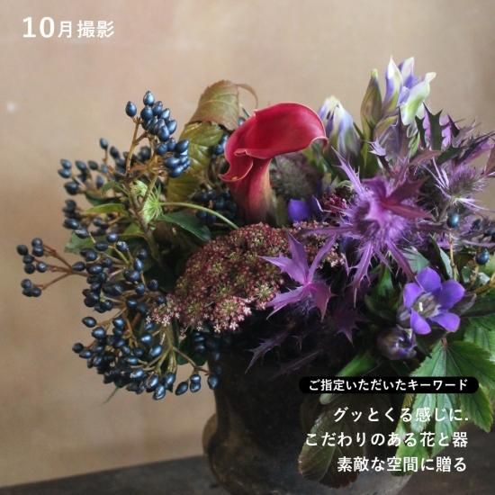 画像8
