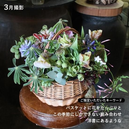 画像8