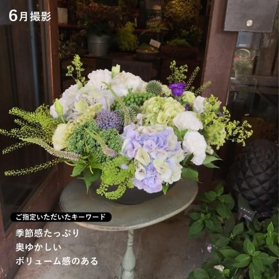 画像6