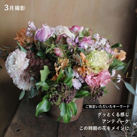 画像8