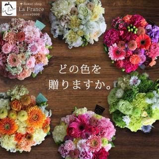 ⤵ޤΥ󥸥 - ٤ʲֿΥӥ͡Ǥꤹơ֥Υ󥿡֤ʤ褦ʥ󥸥ȡ