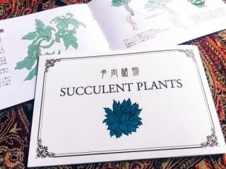 Ĥ¿ʪ SUCCULENT PLANTS