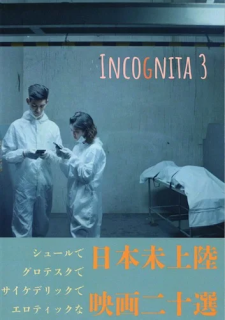 シメギウム「Incognita3」