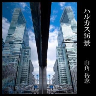 <img class='new_mark_img1' src='https://img.shop-pro.jp/img/new/icons57.gif' style='border:none;display:inline;margin:0px;padding:0px;width:auto;' />ѳٻ֥֡ϥ륫36ʡ