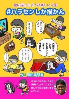 <img class='new_mark_img1' src='https://img.shop-pro.jp/img/new/icons5.gif' style='border:none;display:inline;margin:0px;padding:0px;width:auto;' />ȡ֥ϥ饻󤷤