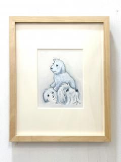 <img class='new_mark_img1' src='https://img.shop-pro.jp/img/new/icons30.gif' style='border:none;display:inline;margin:0px;padding:0px;width:auto;' />Τʡظhºɤ򸤡ס