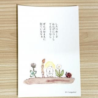 <img class='new_mark_img1' src='https://img.shop-pro.jp/img/new/icons30.gif' style='border:none;display:inline;margin:0px;padding:0px;width:auto;' />ΤإݥȥɡʻƤ͡ˡ