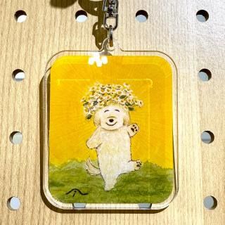 <img class='new_mark_img1' src='https://img.shop-pro.jp/img/new/icons30.gif' style='border:none;display:inline;margin:0px;padding:0px;width:auto;' />Τإ륭ۥʥ˥å굱ˡ