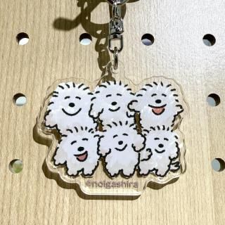 <img class='new_mark_img1' src='https://img.shop-pro.jp/img/new/icons30.gif' style='border:none;display:inline;margin:0px;padding:0px;width:auto;' />Τإ륭ۥʡ󤤤äѤˡ