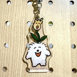 <img class='new_mark_img1' src='https://img.shop-pro.jp/img/new/icons30.gif' style='border:none;display:inline;margin:0px;padding:0px;width:auto;' />Τإ륭ۥƬ餪֡ˡ