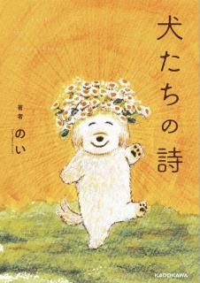 <img class='new_mark_img1' src='https://img.shop-pro.jp/img/new/icons30.gif' style='border:none;display:inline;margin:0px;padding:0px;width:auto;' />ŵĤۤΤñܡظλ