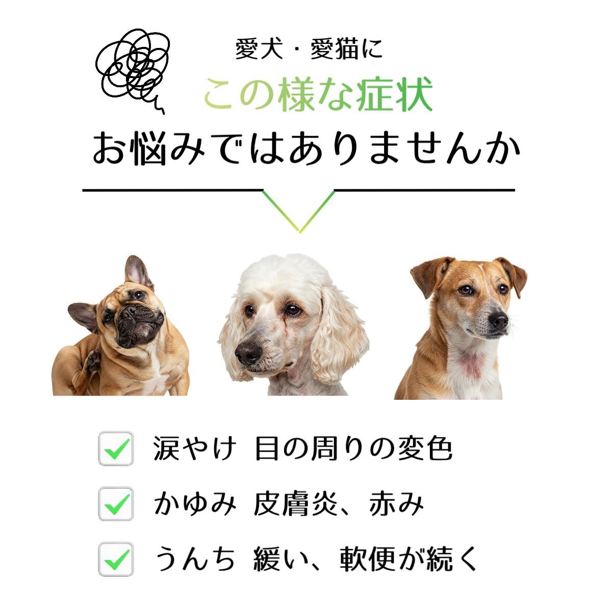 アレミッケの犬猫用被毛不耐性検査 アレミッケの犬猫用被毛不耐性検査