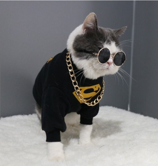 犬さん猫さん用サングラス - Tss-smart shop