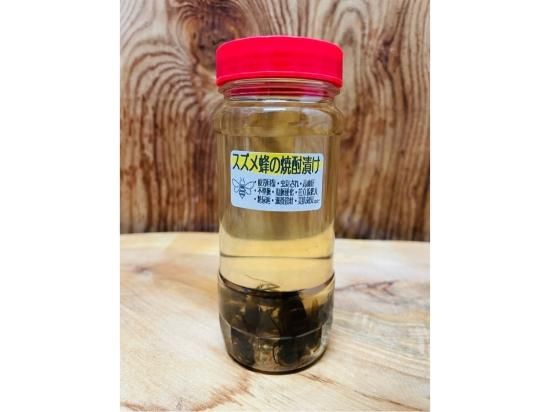 スズメバチの焼酎漬け　大瓶 スズメバチ 焼酎漬け - メルカリ