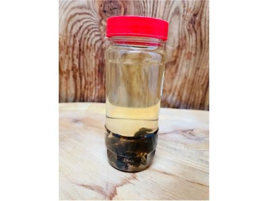 スズメバチの焼酎漬け　大瓶 スズメバチ 焼酎漬け - メルカリ