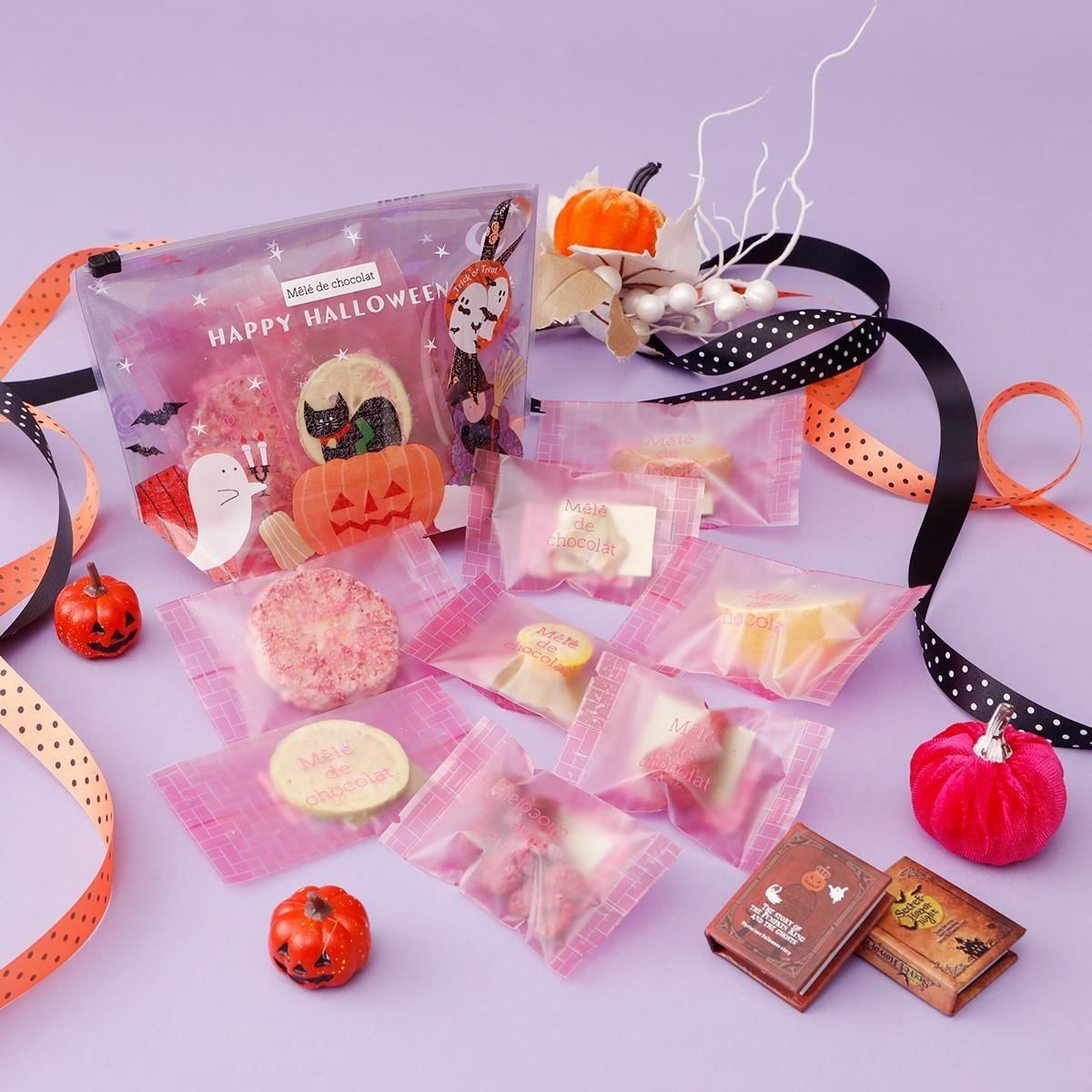 HALLOWEENフルーツチョコレート詰め合わせ｜ミッドナイトポーチ（メレ