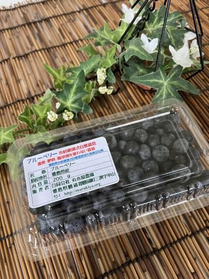 ブルーベリー(200g入) - 自然栽培の農産物(農薬・肥料・除草 ブルーベリー(200g入) - 自然栽培の農産物(農薬・肥料・除草