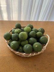 すだち1Kg(箱入り) - 自然栽培の農産物（農薬・肥料・除草剤を使わ