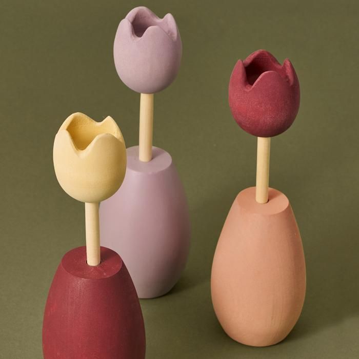 Tulips チューリップス - Tulips チューリップス -