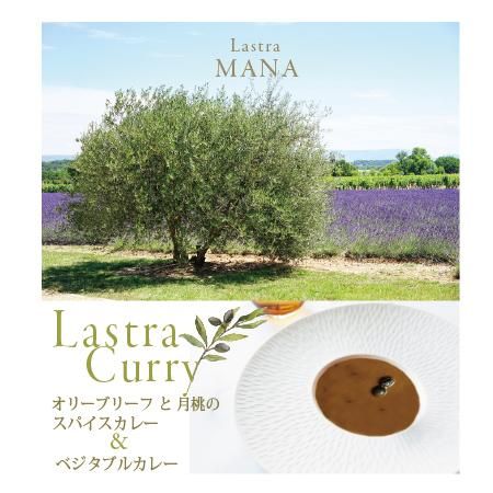 月桃とオリーブリーフ オリーブの葉 のラストラカレー