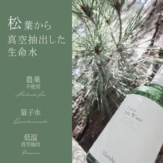 楽天市場】ライフウォーター 松葉 100ml 【正規販売代理店