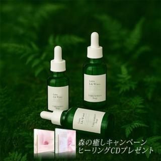 ライフウォーター屋久島地杉 100ml  お得用 3本セット 森の癒しキャンペーン