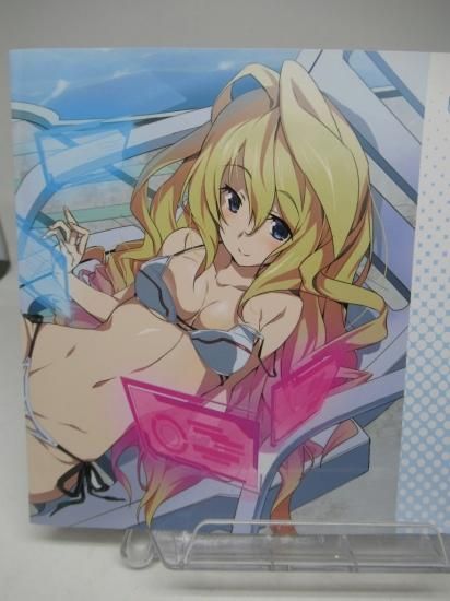 ホビー通販 とらのあな特典 学戦都市アスタリスク 02 銀綺覚醒 特典ブックカバー クローディア エンフィールドver ホビー通販 とらのあな特典 学戦都市アスタリスク 02 銀綺覚醒 特典ブックカバー クローディア エンフィールドver