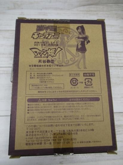 ホビー通販】マケン姫! 月刊ドラゴンエイジ 1月号付録