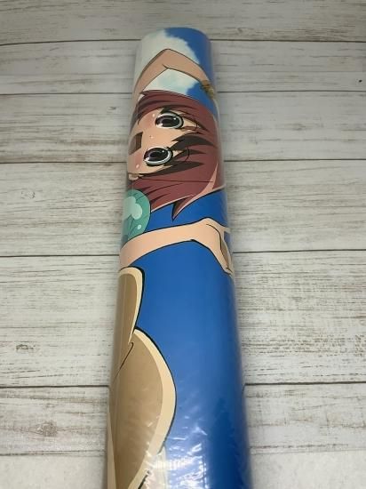 ホビー通販】A-toys とらドラ! お風呂ポスター 逢坂大河＆櫛枝実乃梨