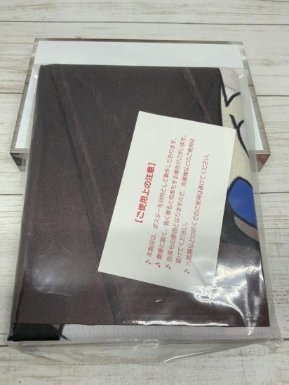 ホビー通販】映画 けいおん! DVD特典 描き下ろし等身布ポスター