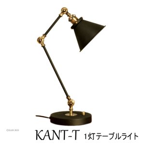 KANT-T T 1ơ֥饤