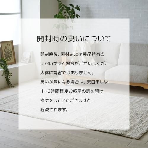 のりかめがも☆ウィルトンラグ200×250cm ウィルトン織ラグカーペット 「タック」200×250cm｜デザイナーズ