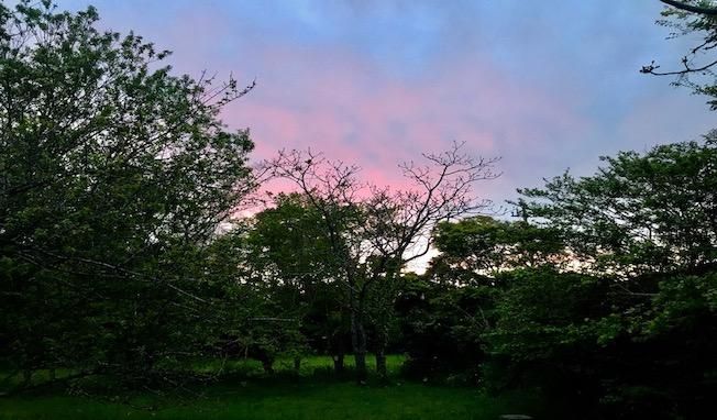 byKUSA.㡡COFFEEPAN.