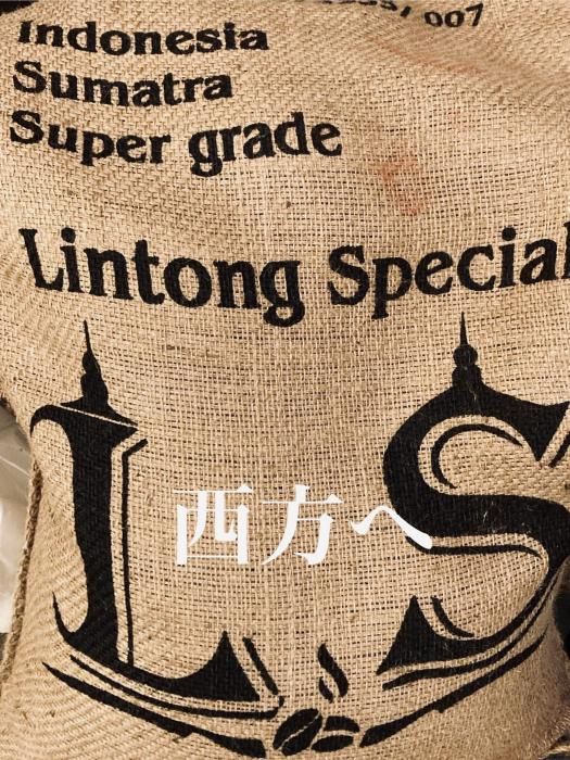 5/3꡼ INDONESIA ޥȥ ȥ ˥ե¼ ޥǥ '25եȡʿ⭐︎