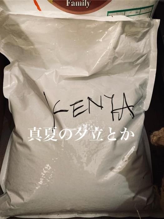  6/4 ꡼ ⭐︎ KENYA  ޥ㥳 ॹ󥺡˥եȥ꡼    ϥȡ⭐︎
 