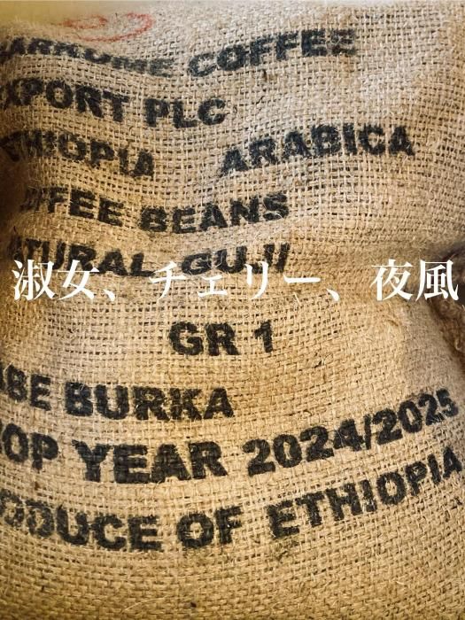  SOLD OUT ETHIOPIA   ١֥륫ơإʥ ߥǥȡ