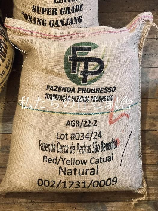  11/2 ꡼  BRAZIL  Х ӥ϶衡٥ͥǥࡡե륷ƥȡ濼